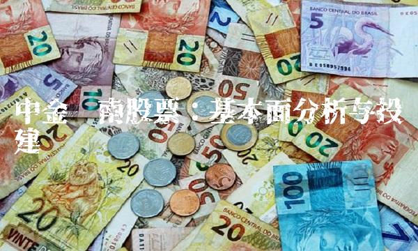中金岭南股票：基本面分析与投资建议