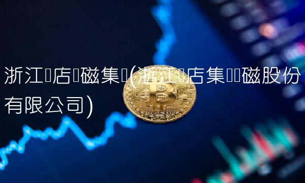 浙江横店东磁集团(浙江横店集团东磁股份有限公司)