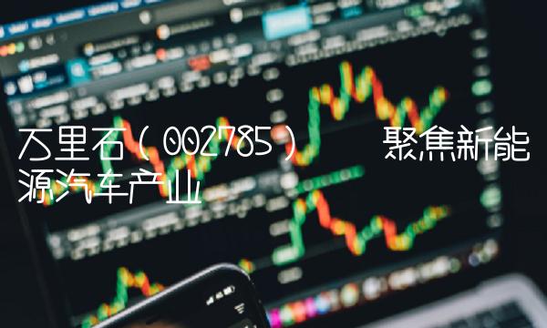 万里石（002785）——聚焦新能源汽车产业