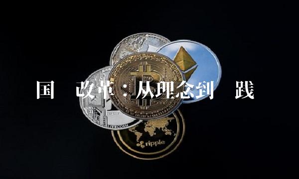 国资改革：从理念到实践