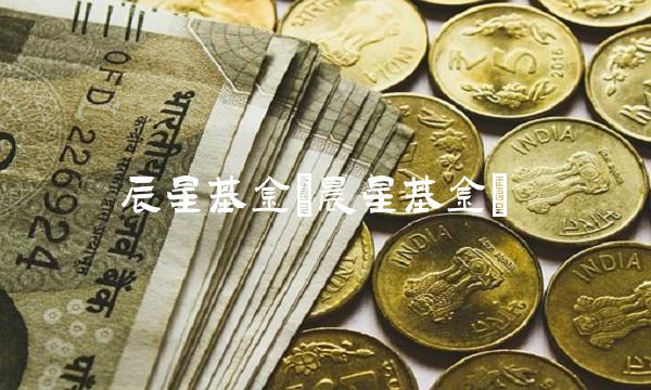 辰星基金(晨星基金)