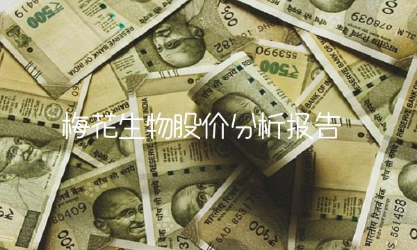 梅花生物股价分析报告
