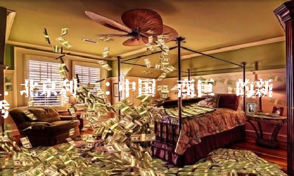 1. 北京利尔：中国电商巨头的新秀