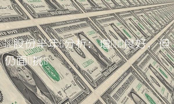 宝钛股份半年报分析：增长态势良好，但仍面临挑战