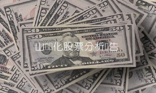 山东滨化股票分析报告(1)
