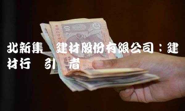 北新集团建材股份有限公司：建材行业引领者