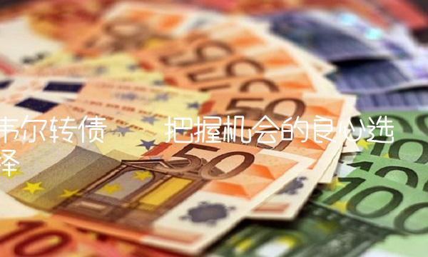 韦尔转债——把握机会的良心选择