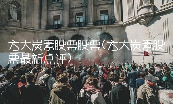 方大炭素股票股票(方大炭素股票最新点评)