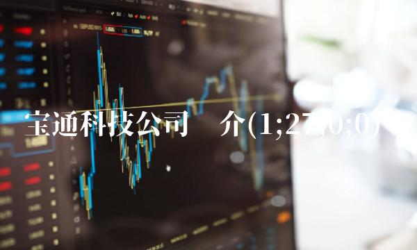 宝通科技公司简介(1;27;0;0)(1)