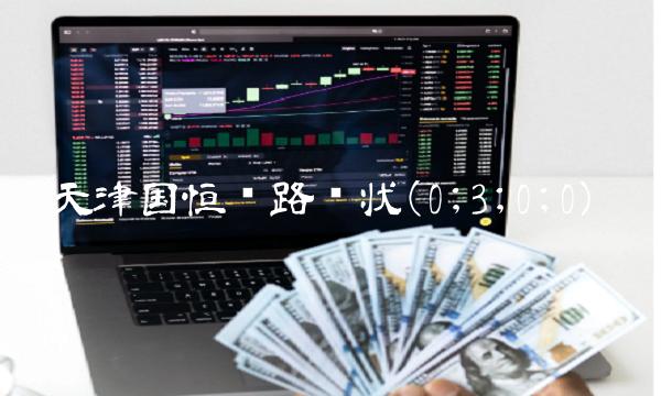 天津国恒铁路现状(0;3;0;0)(1)