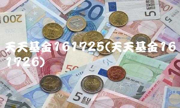 天天基金161725(天天基金161726)