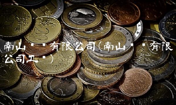 南山铝业有限公司(南山铝业有限公司工资)