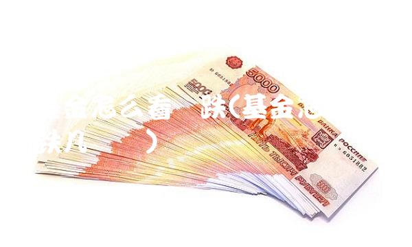 基金怎么看涨跌(基金怎么看涨跌几个点)