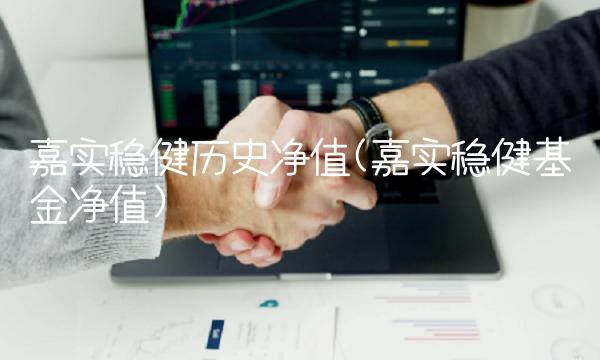 嘉实稳健历史净值(嘉实稳健基金净值)(1)