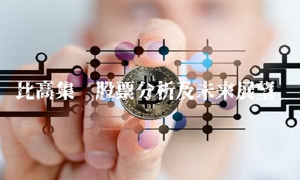 比高集团股票分析及未来展望