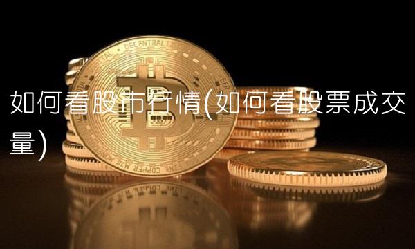如何看股市行情(如何看股票成交量)(1)