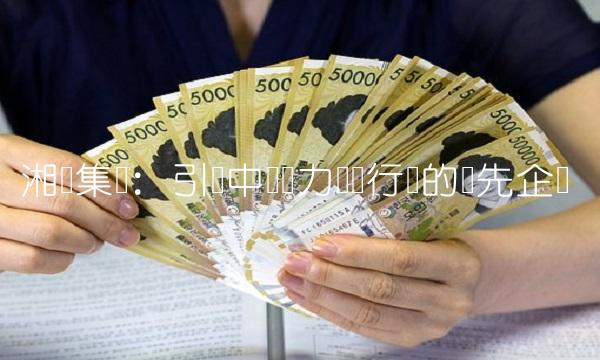 湘电集团：引领中国电力装备行业的领先企业