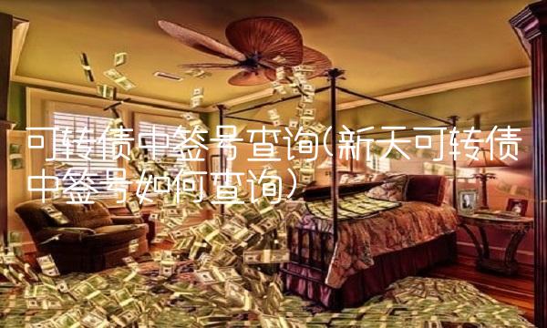 可转债中签号查询(新天可转债中签号如何查询)(2)