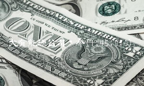 大有能源公司简介(1;45;0;0)