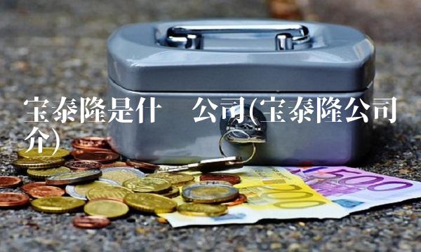 宝泰隆是什么公司(宝泰隆公司简介)