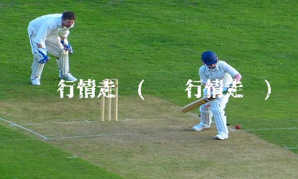 钢铁行情走势(钢铁行情走势)