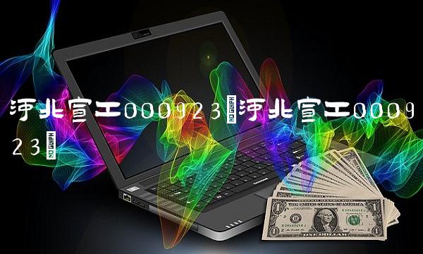 河北宣工000923(河北宣工000923)