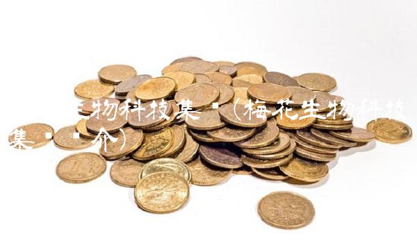 梅花生物科技集团(梅花生物科技集团简介)