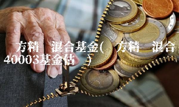 东方精选混合基金(东方精选混合40003基金估值)