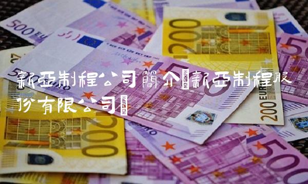 新亚制程公司简介(新亚制程股份有限公司)