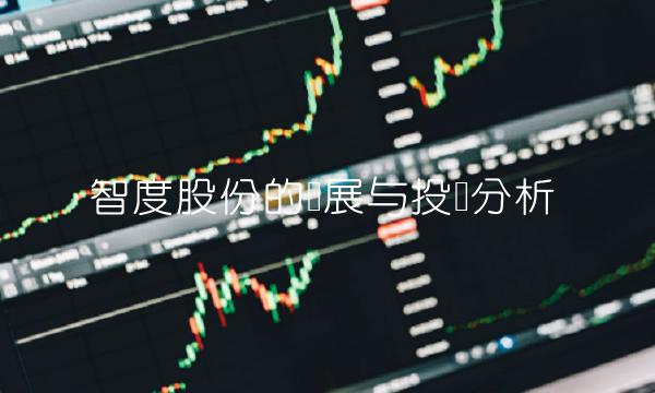 智度股份的发展与投资分析