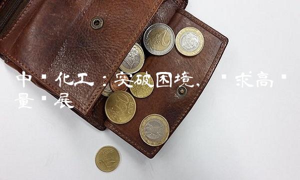 中盐化工：突破困境，谋求高质量发展
