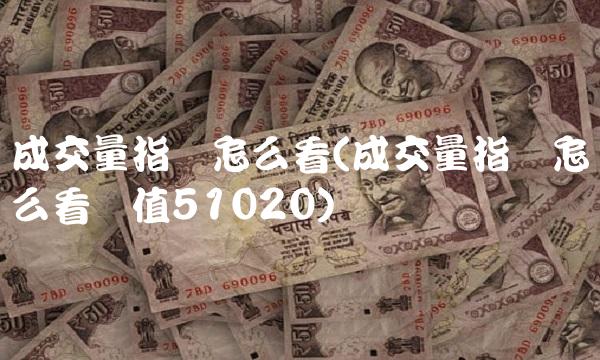 成交量指标怎么看(成交量指标怎么看数值51020)