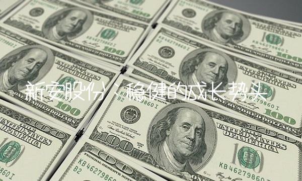 新安股份：稳健的成长势头