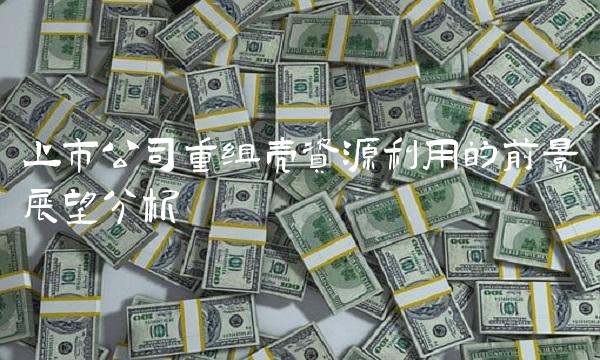 上市公司重组壳资源利用的前景展望分析