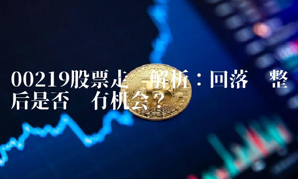 00219股票走势解析：回落调整后是否还有机会？