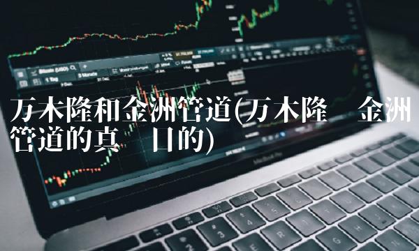 万木隆和金洲管道(万木隆买金洲管道的真实目的)