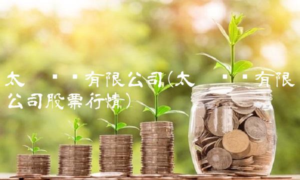 太极实业有限公司(太极实业有限公司股票行情)