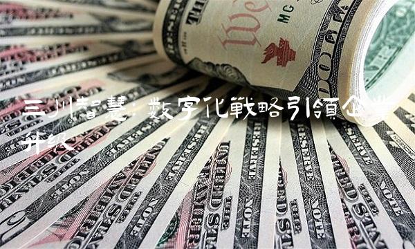三川智慧：数字化战略引领企业升级