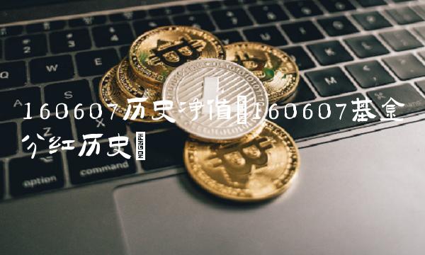 160607历史净值(160607基金分红历史)