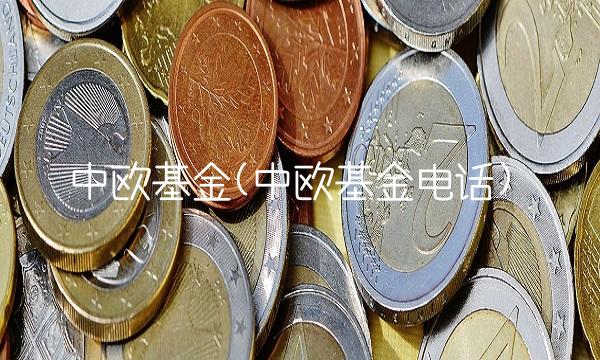中欧基金(中欧基金电话)(2)