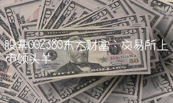 股票002380东方财富：交易所上市领头羊