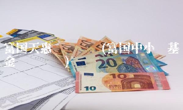 富国天惠净值查询(富国中小盘基金净值查询)