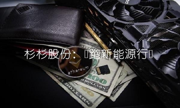 杉杉股份：领跑新能源行业