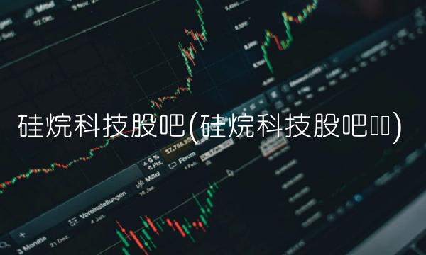 硅烷科技股吧(硅烷科技股吧论坛)