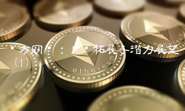 东方网络：业务拓展与潜力展望（1）