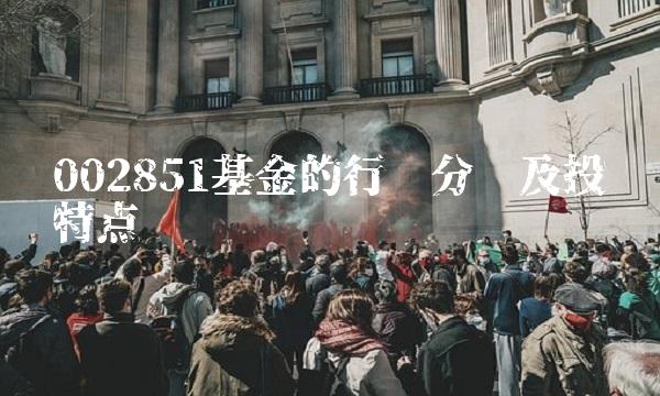 002851基金的行业分类及投资特点