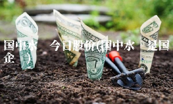 国中水务今日股价(国中水务是国企吗)(2)