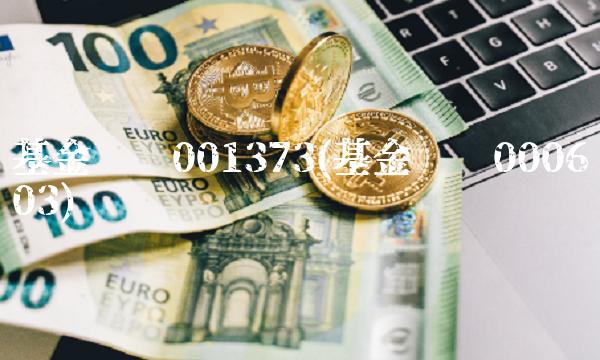 基金查询001373(基金查询000603)