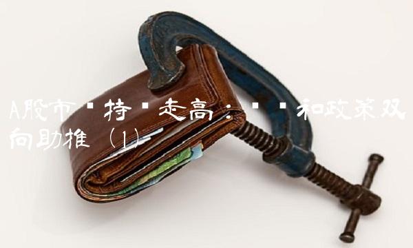 A股市场持续走高：业绩和政策双向助推（1）