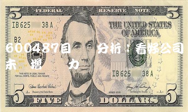 600487目标价分析：看好公司未来增长潜力